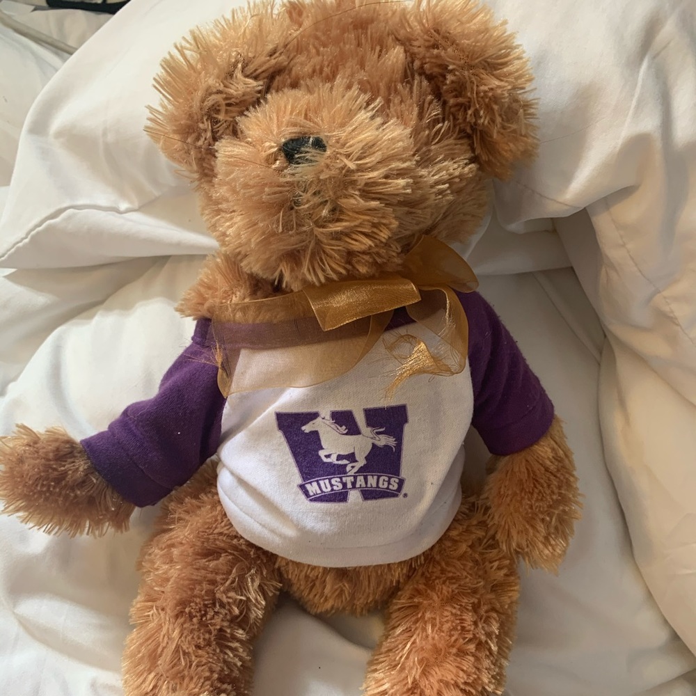 Western teddy bear